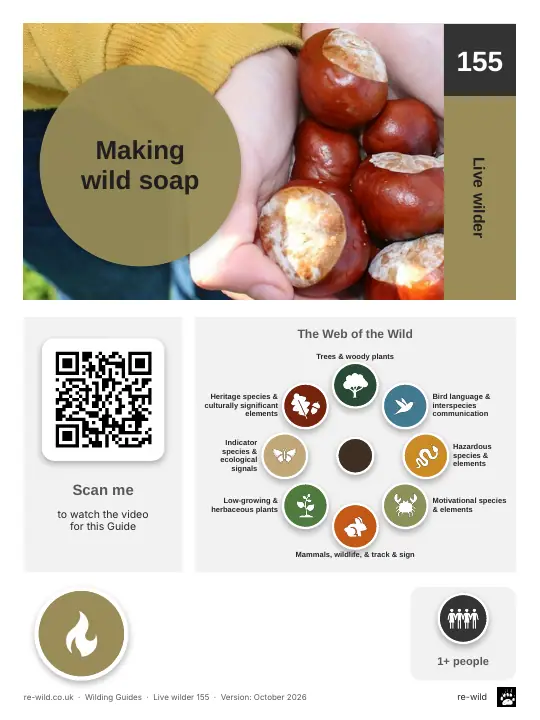 Front of the Making wild soap activity guide