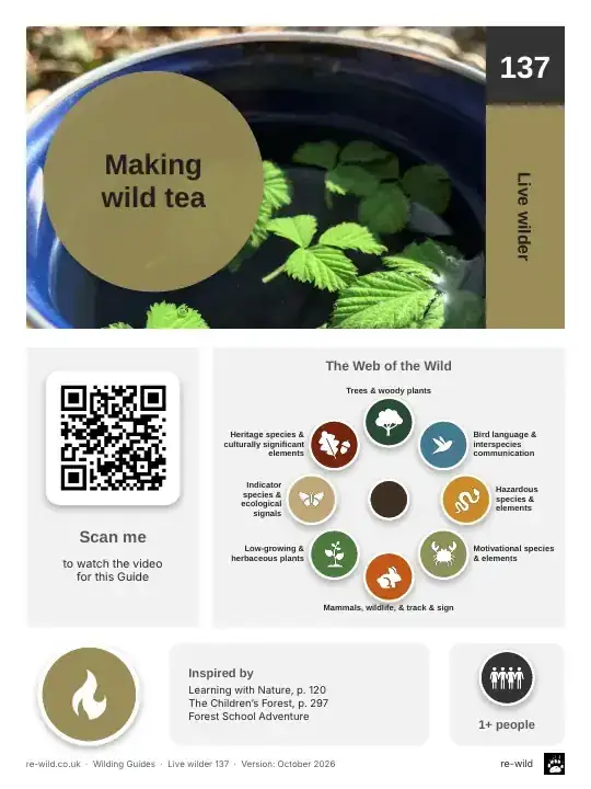 Front of the Making wild tea activity guide