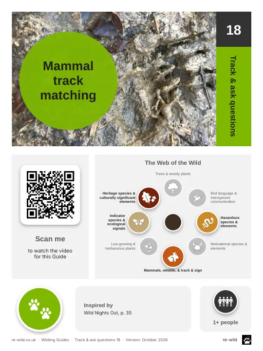 Front of the Mammal track matching activity guide