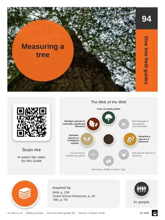Front of the Measuring a tree activity guide