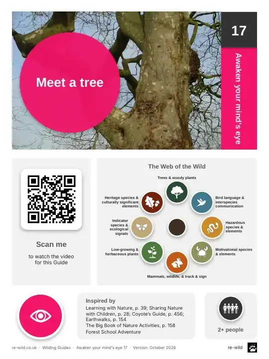 Front of the Meet a tree activity guide