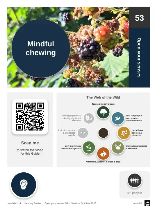 Front of the Mindful chewing activity guide