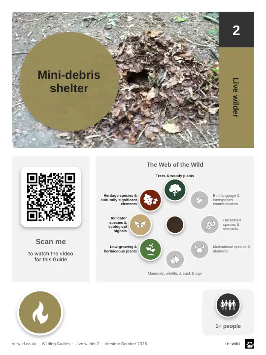 Front of the Mini-debris shelter activity guide