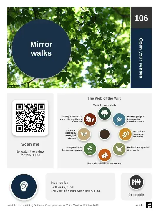 Front of the Mirror walks activity guide