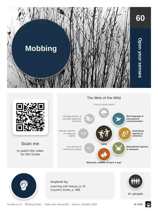 Front of the Mobbing activity guide
