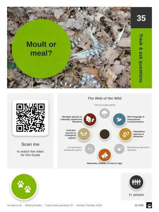 Front of the Moult or meal? activity guide
