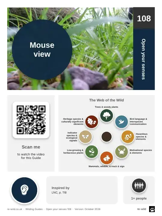 Front of the Mouse view activity guide