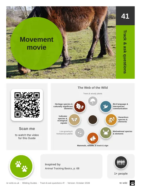 Front of the Movement movie activity guide