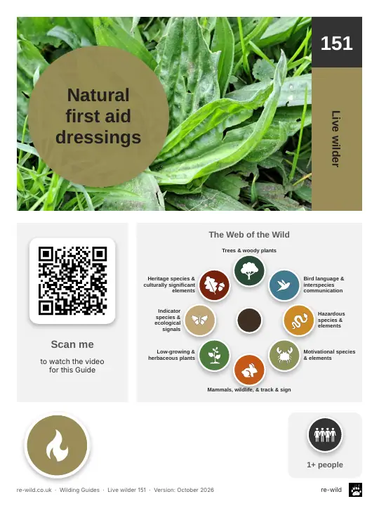 Front of the Natural first aid dressings activity guide