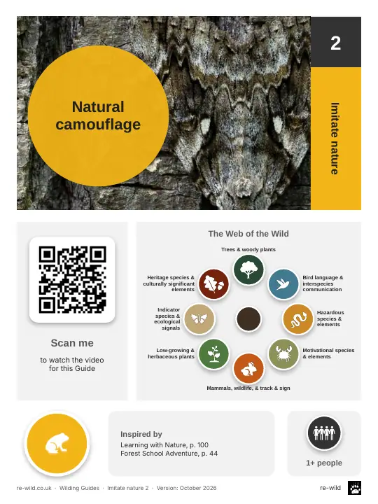 Front of the Natural camouflage activity guide