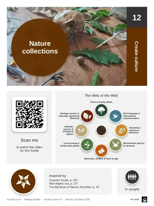 Front of the Nature collections activity guide