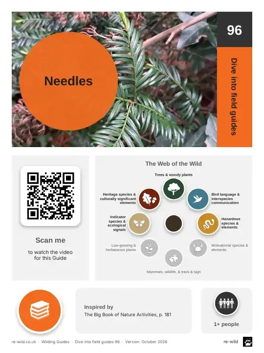 Front of the Needles activity guide