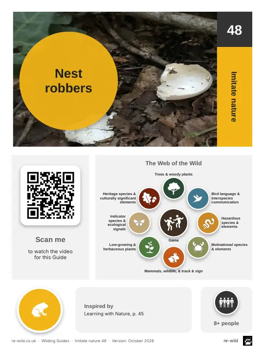 Front of the Nest robbers activity guide