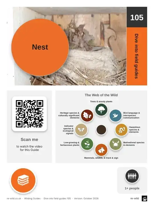 Front of the Nest activity guide