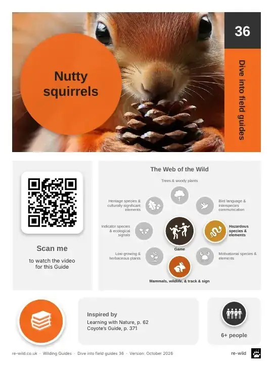 Front of the Nutty squirrels activity guide