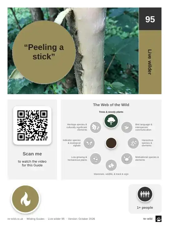 Front of the “Peeling a stick” activity guide