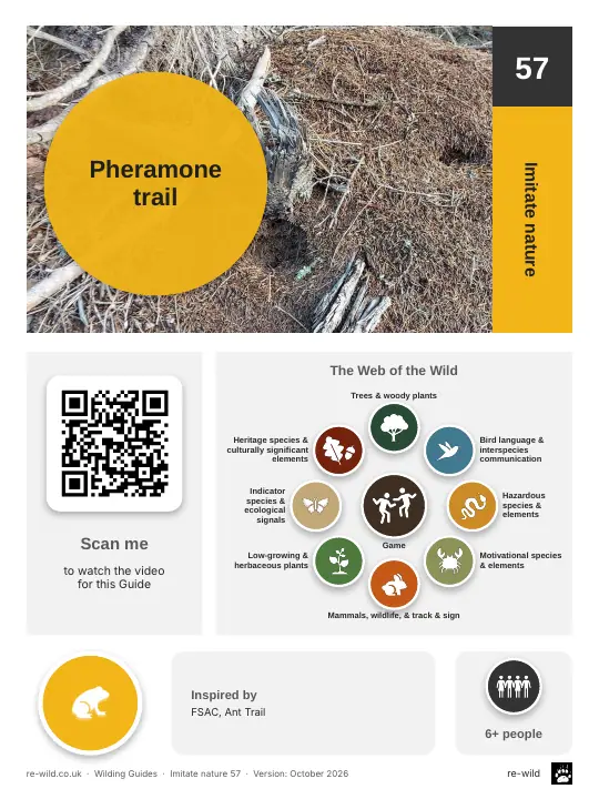 Front of the Pheramone trail activity guide
