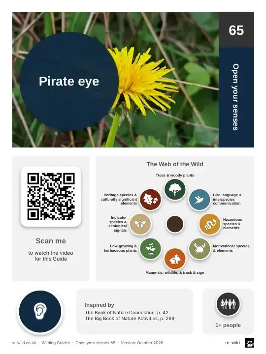 Front of the Pirate eye activity guide