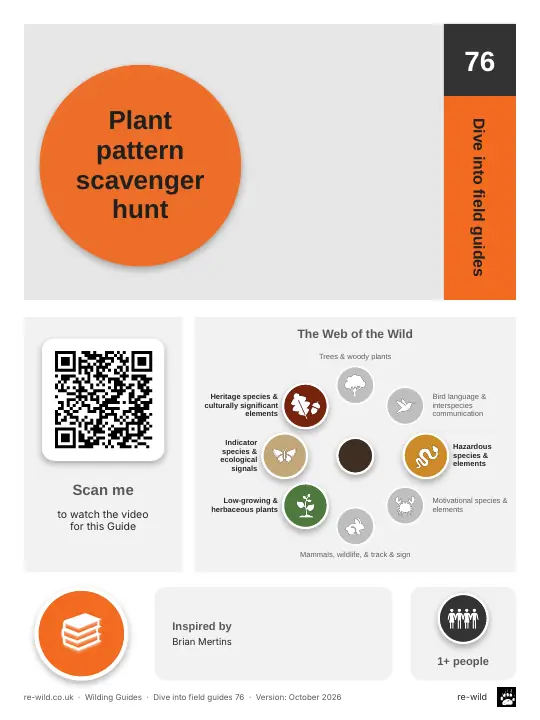 Front of the Plant pattern scavenger hunt activity guide