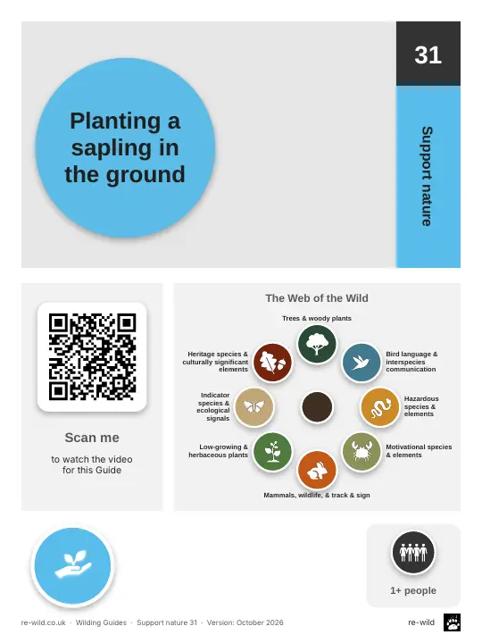 Front of the Planting a sapling in the ground activity guide