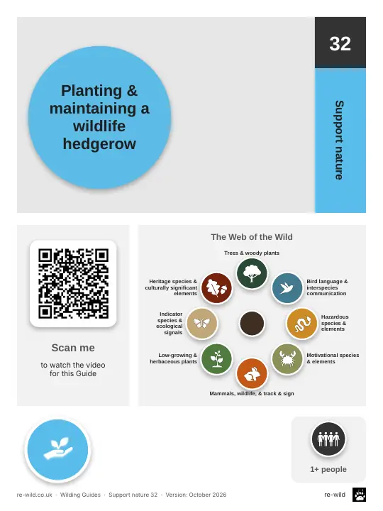 Front of the Planting & maintaining a wildlife hedgerow activity guide