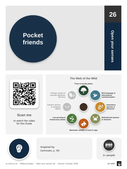 Front of the Pocket friends activity guide