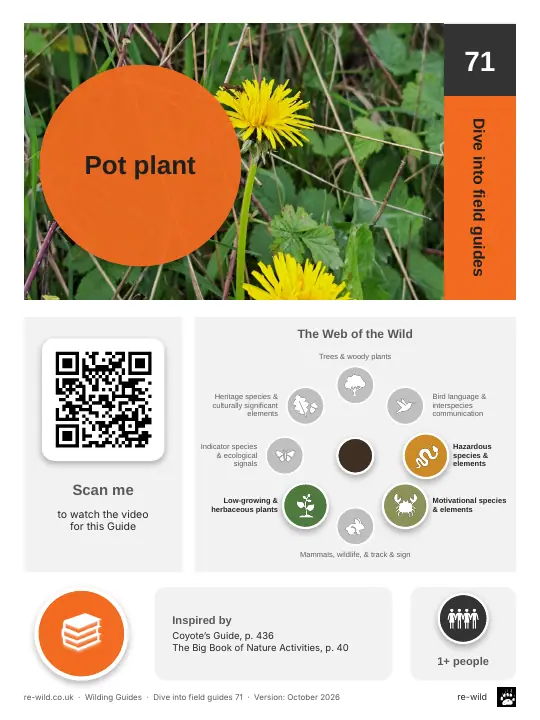 Front of the Pot plant activity guide
