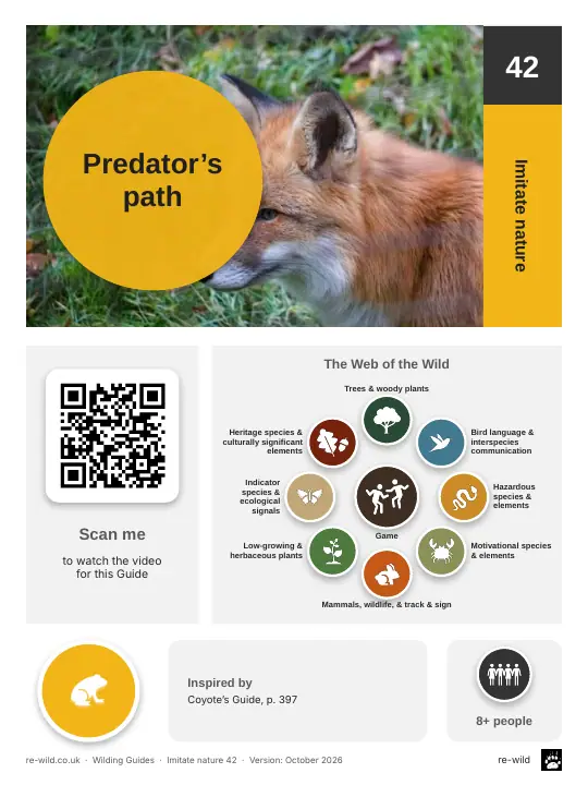 Front of the Predator’s path activity guide