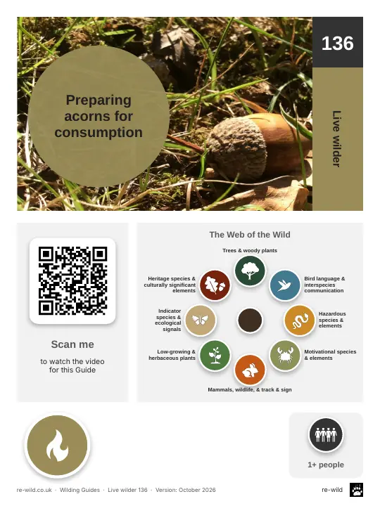 Front of the Preparing acorns for consumption activity guide