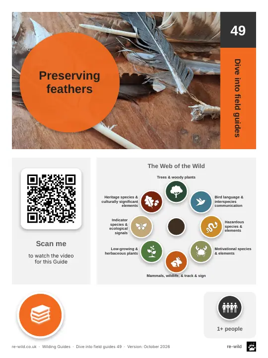 Front of the Preserving feathers activity guide
