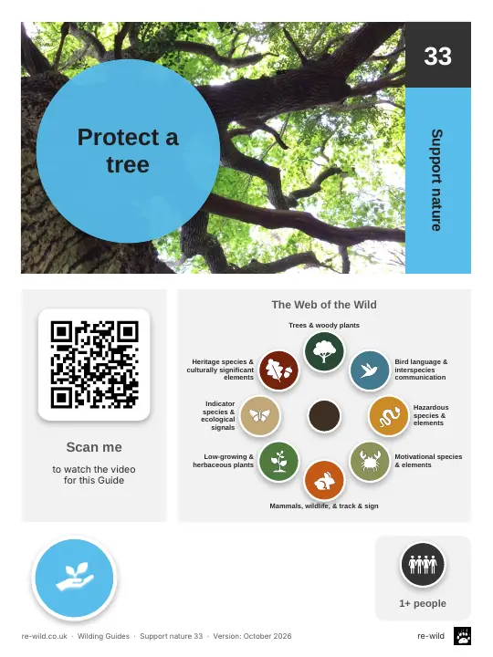 Front of the Protect a tree activity guide