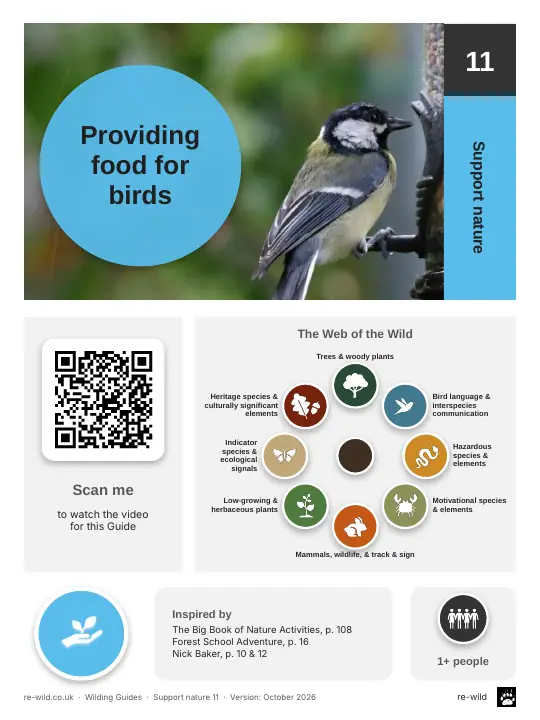 Front of the Providing food for birds activity guide