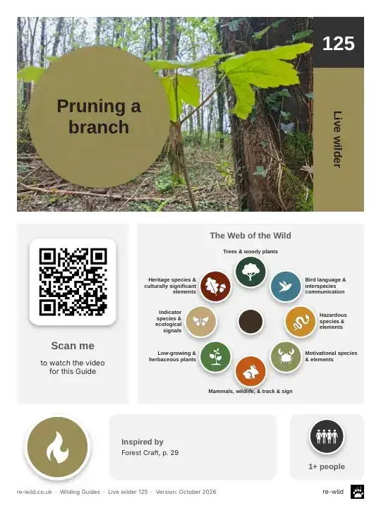 Front of the Pruning a branch activity guide