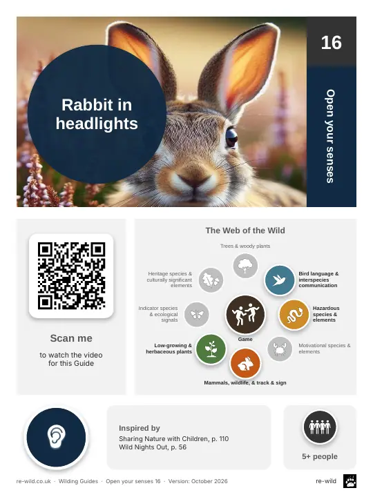 Front of the Rabbit in headlights activity guide