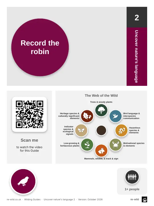 Front of the Record the robin activity guide