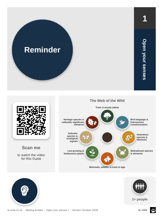 Front of the Reminder activity guide