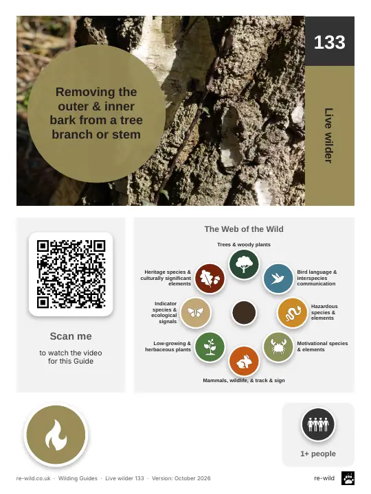 Front of the Removing the outer & inner bark from a tree branch or stem activity guide