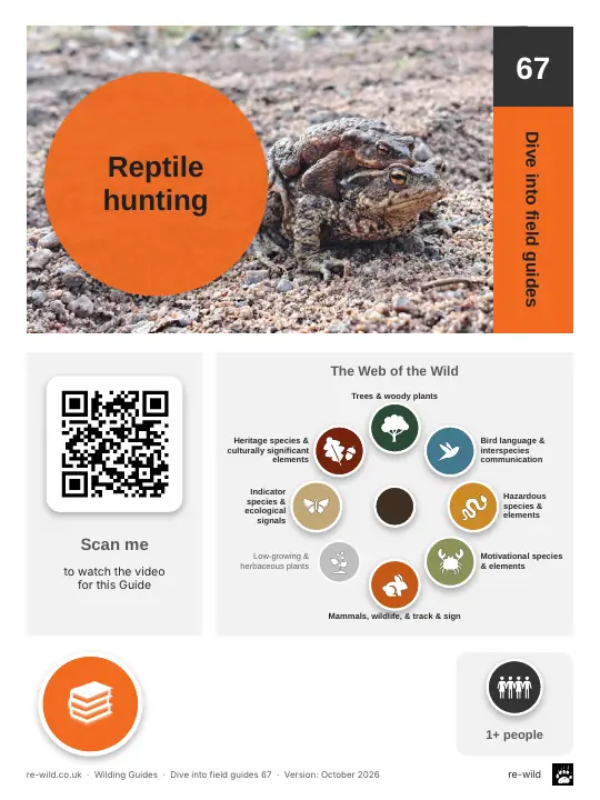 Front of the Reptile hunting activity guide