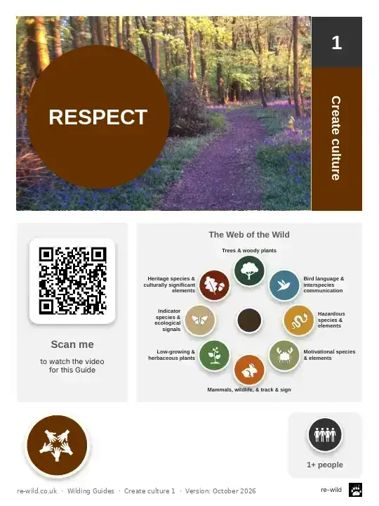 Front of the RESPECT activity guide