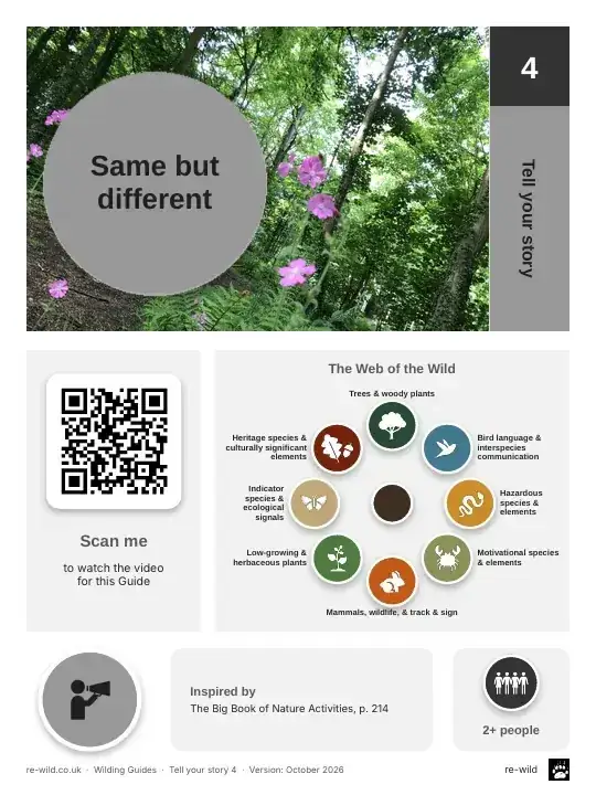 Front of the Same but different activity guide