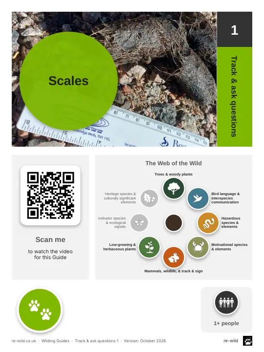 Front of the Scales activity guide