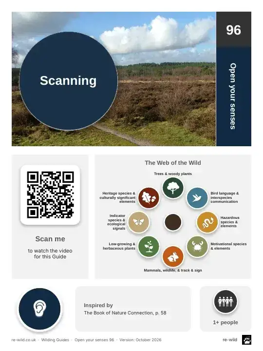Front of the Scanning activity guide