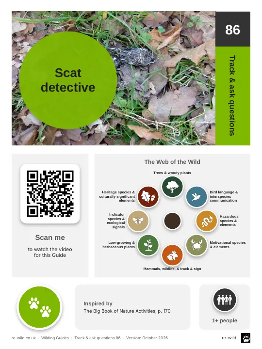 Front of the Scat detective activity guide