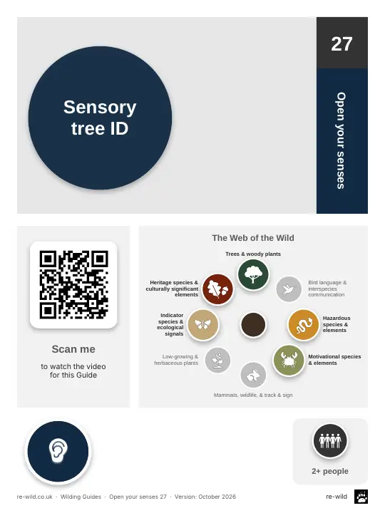 Front of the Sensory tree ID activity guide