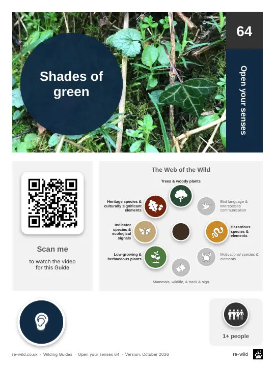 Front of the Shades of green activity guide