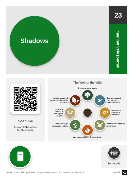 Front of the Shadows activity guide