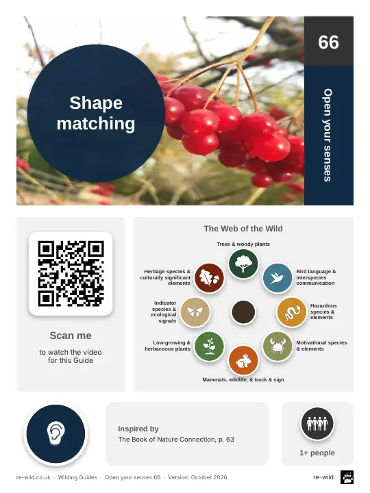 Front of the Shape matching activity guide
