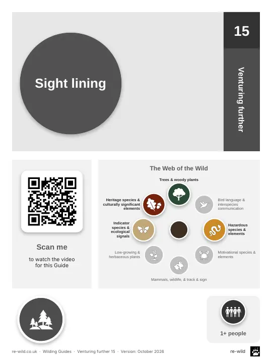 Front of the Sight lining activity guide