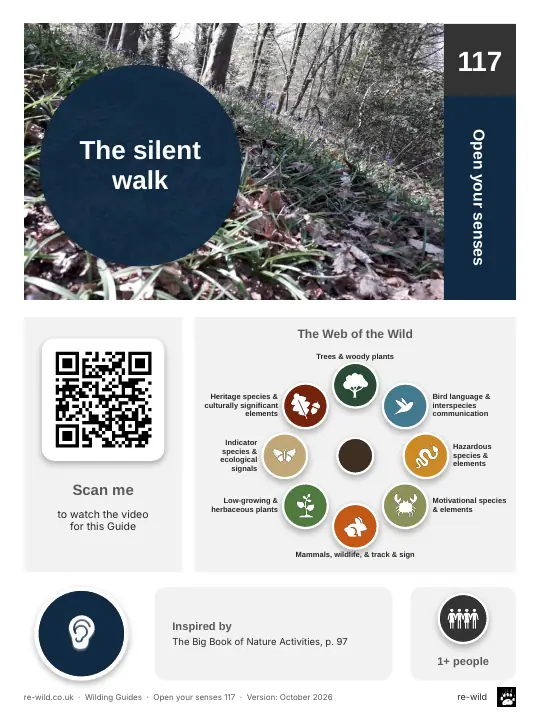 Front of the The silent walk activity guide