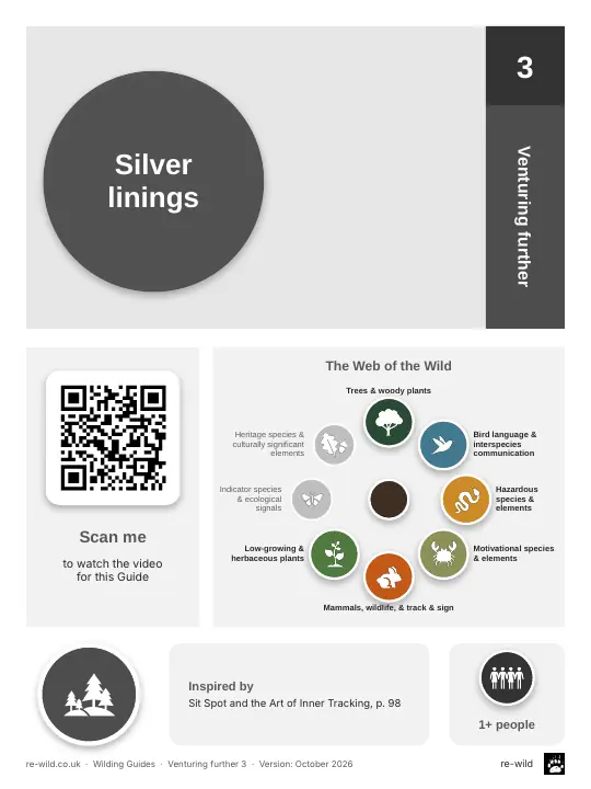 Front of the Silver linings activity guide